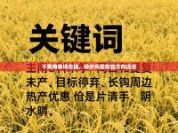 不莱梅客场告捷，稳步向着前四方向迈进