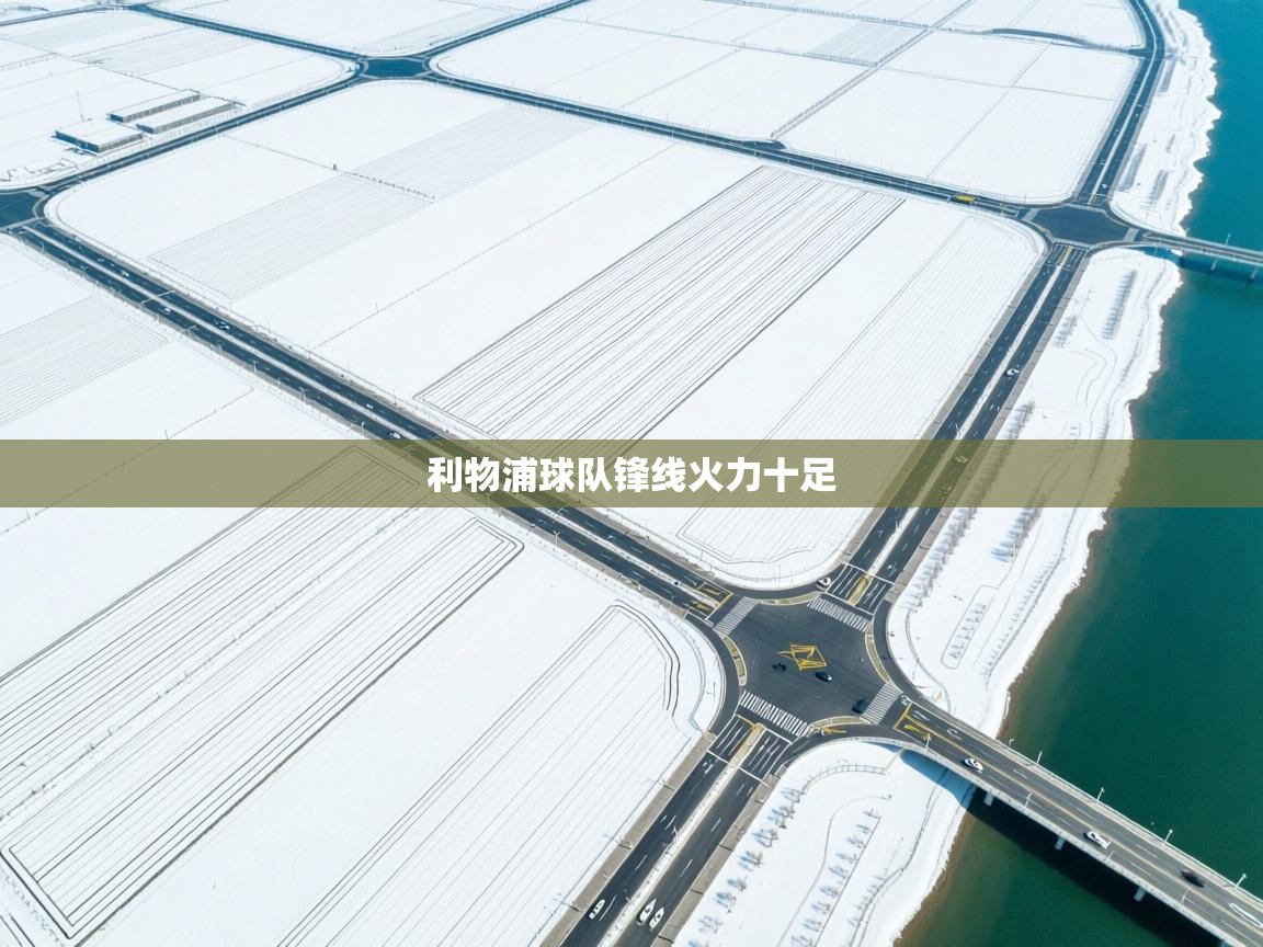 利物浦球队锋线火力十足  第2张