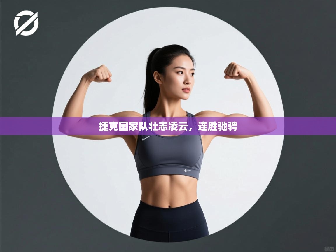 捷克国家队壮志凌云,连胜驰骋 第1张