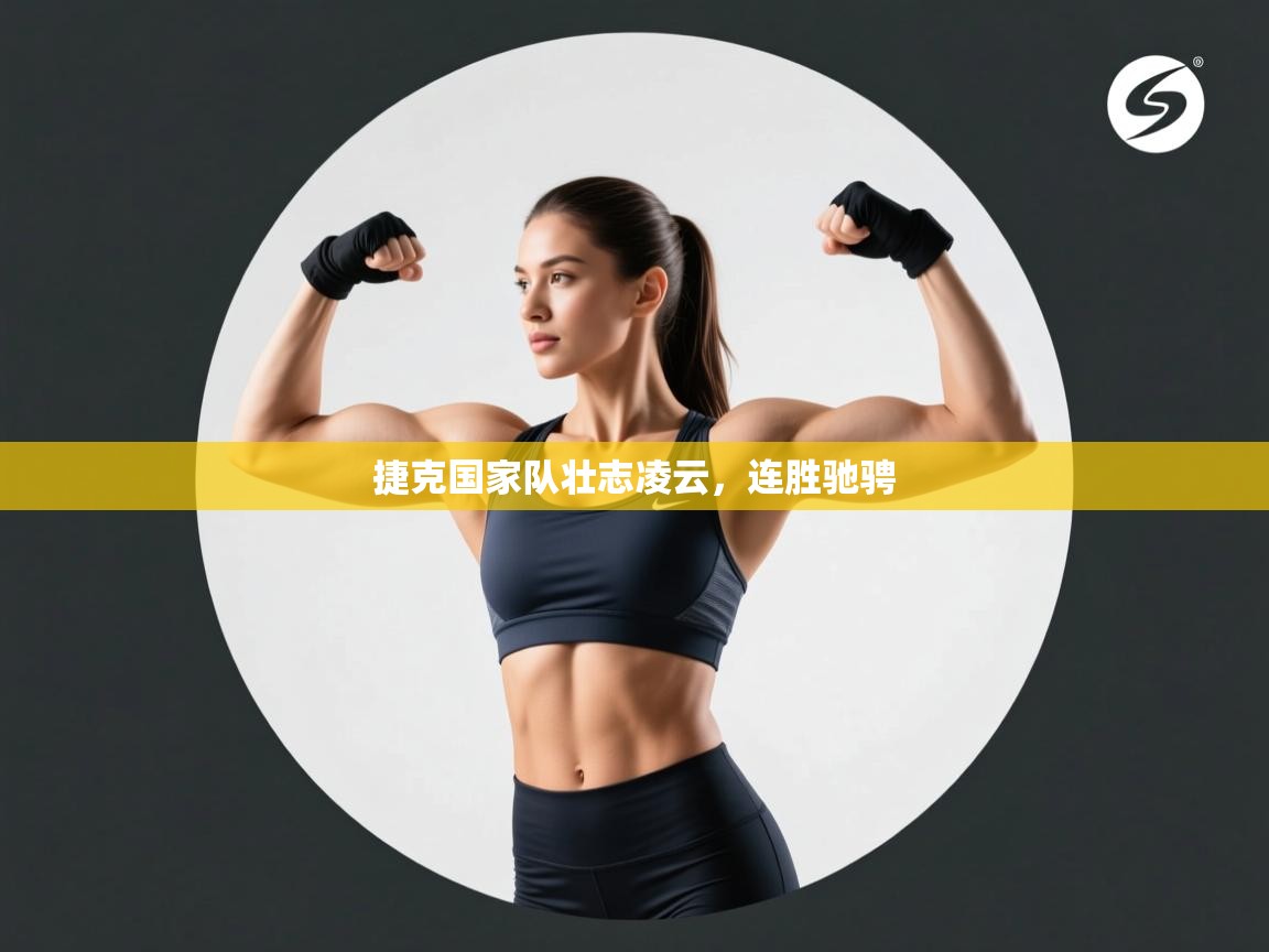 捷克国家队壮志凌云,连胜驰骋 第2张