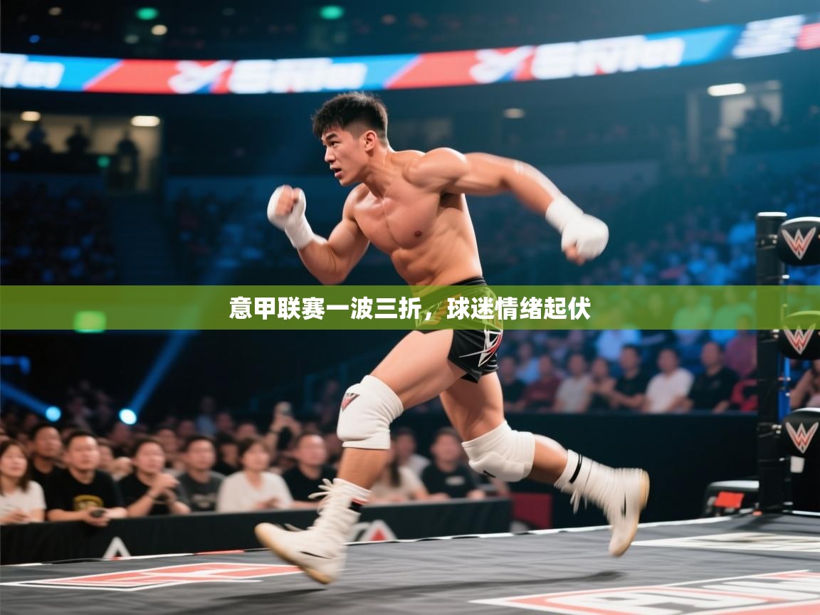 意甲联赛一波三折，球迷情绪起伏  第2张